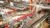 manufacture-dynamicsaxis